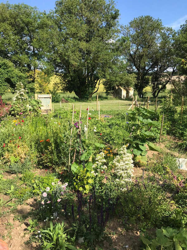 potager - Maison à AUBETERRE-SUR-DRONNE
