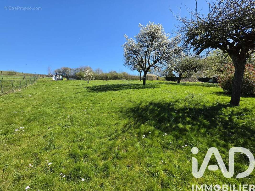 Photo 4 - Terrain à FRANCHEVAL