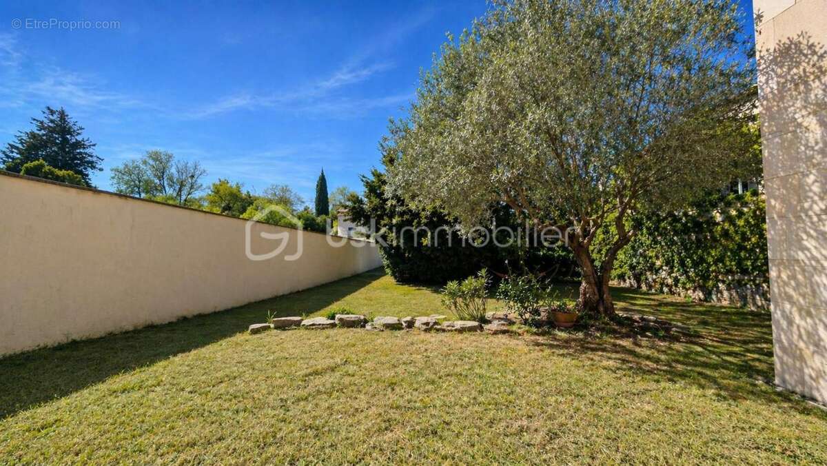 Exclusivité – Est de Montélimar – Maison de village rénovée – 5 chambres – garage – jardin - photo 3