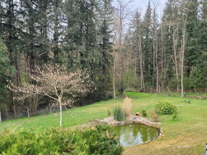 MEAULNE ( 03 )  Magnifique Propriété à vendre 10 pièces 365m2 Terrain 4179m2 - photo 12