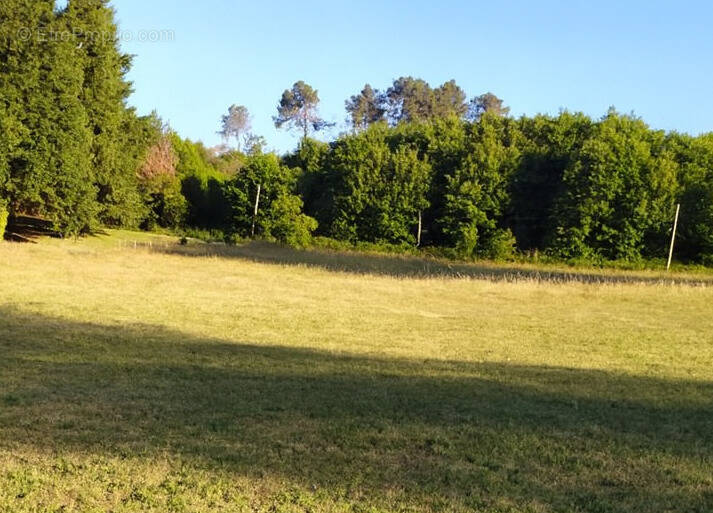 Terrain à SARLAT-LA-CANEDA