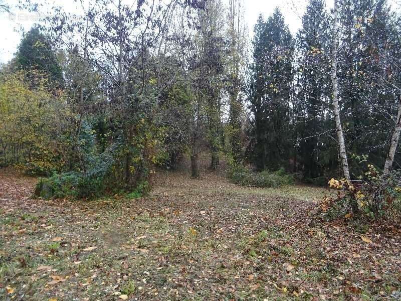 A panazol beau terrain de 8182 m² avec cu dans une impasse - photo 3