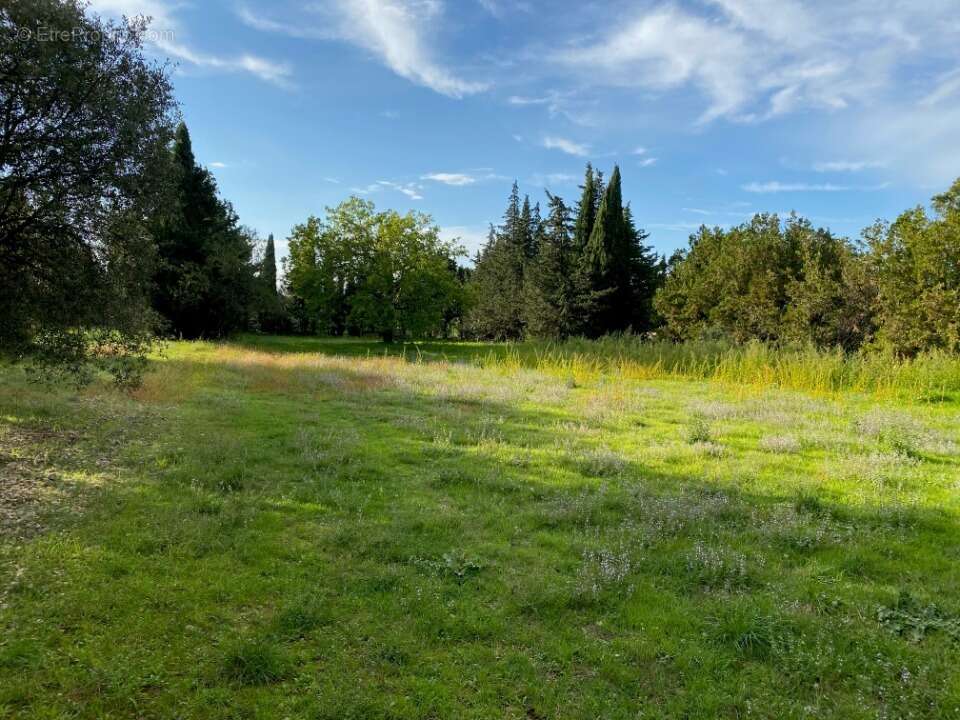 Terrain 802 m² à Grillon  - photo 3