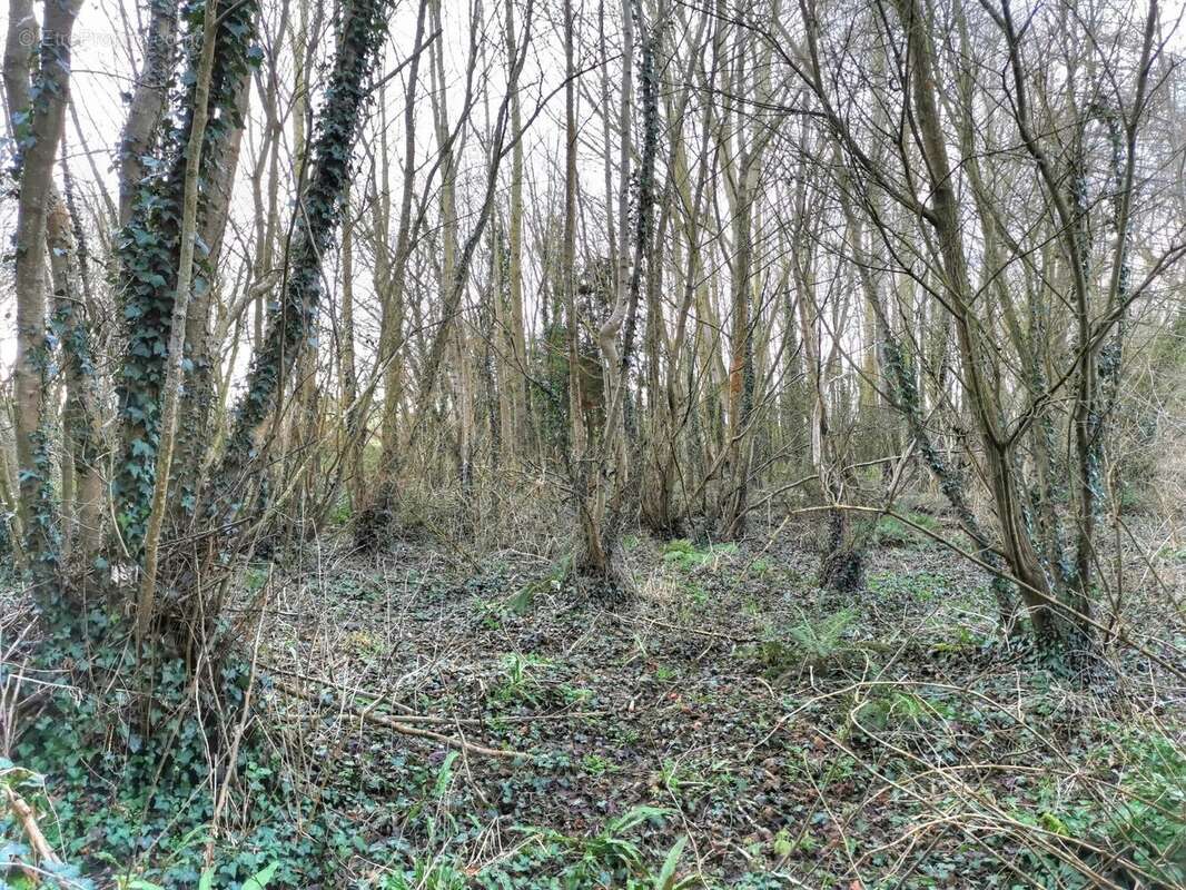 Terrain à LAMBALLE