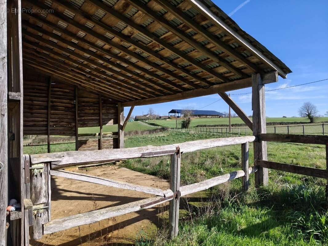 Propriété équestre de 5 hectares proche de Monpazier - photo 13