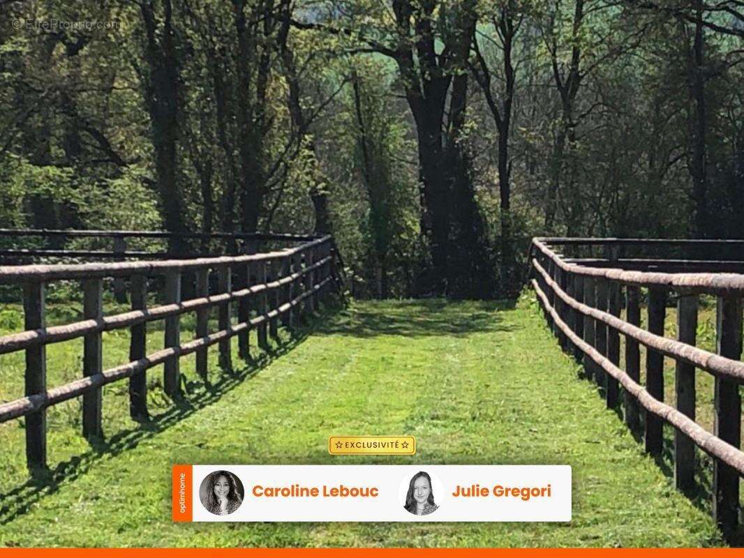Propriété équestre professionnelle d’exception – Perche - photo 4