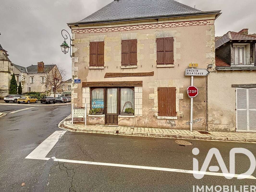 Maison 304 m² à Cangey  - photo 3