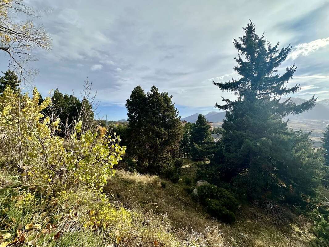 Terrain à FONT-ROMEU-ODEILLO-VIA