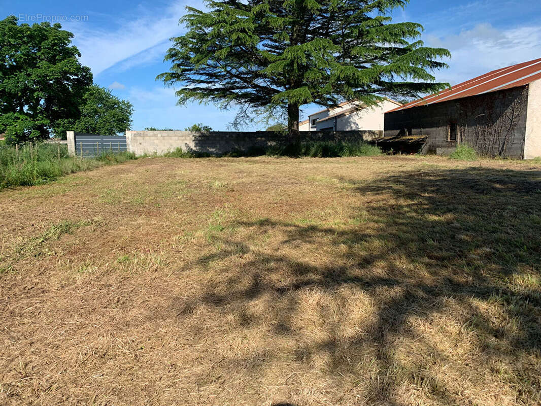 Terrain à CHEIX-EN-RETZ