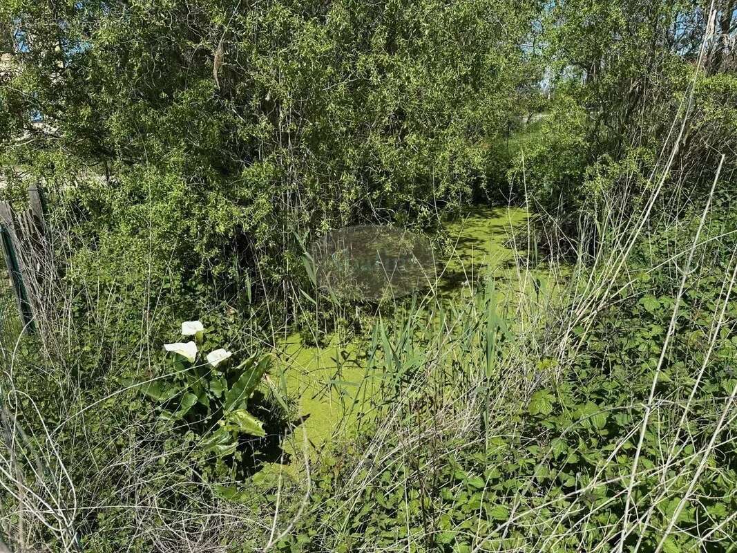 Maison à BOULOGNE-SUR-GESSE