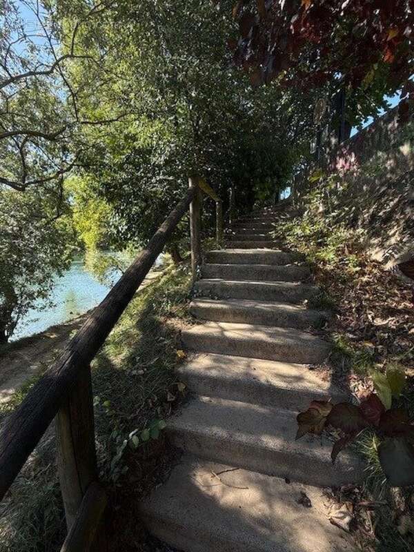 Photo 4 - Maison à CHAMPIGNY-SUR-MARNE