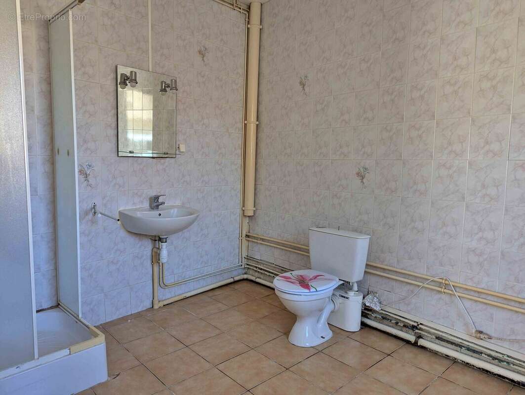 salle d\'eau avec wc Sud Auxerre - Maison à BAZARNES