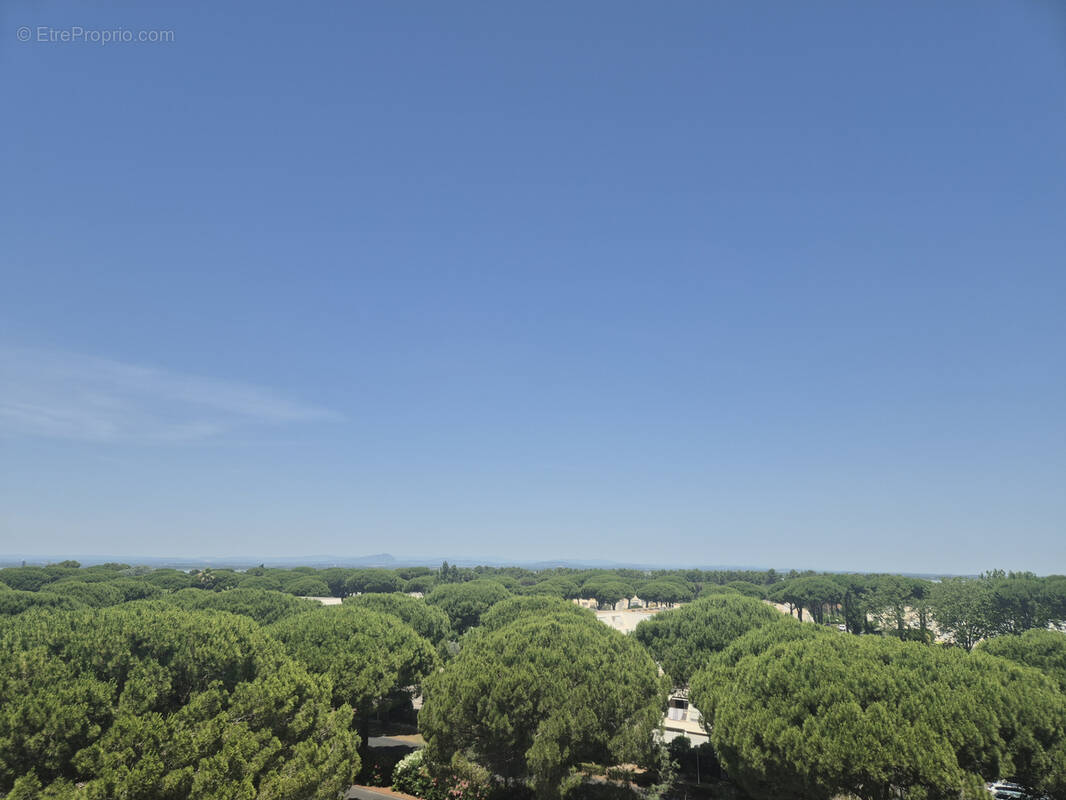 Appartement à LA GRANDE-MOTTE