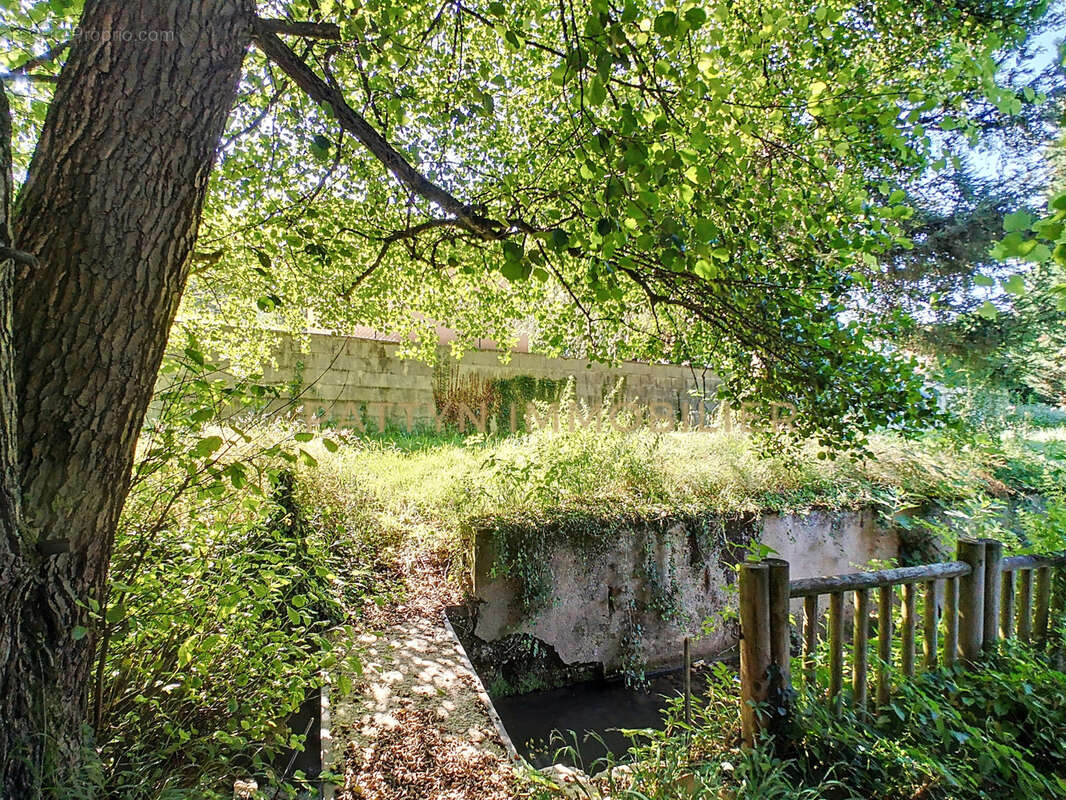 Appartement à NEUVILLE-SUR-SAONE
