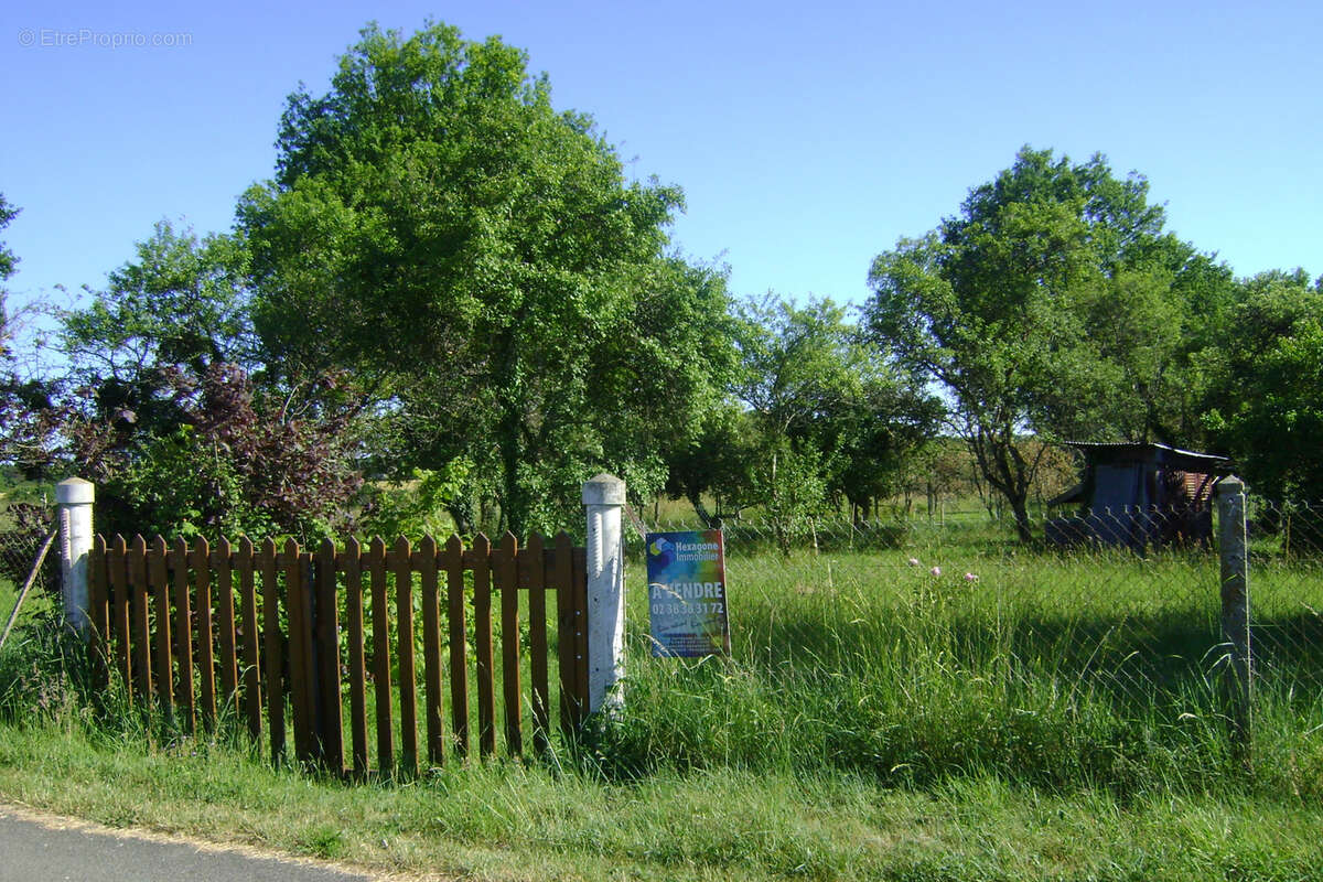 Terrain à OUZOUER-SUR-TREZEE