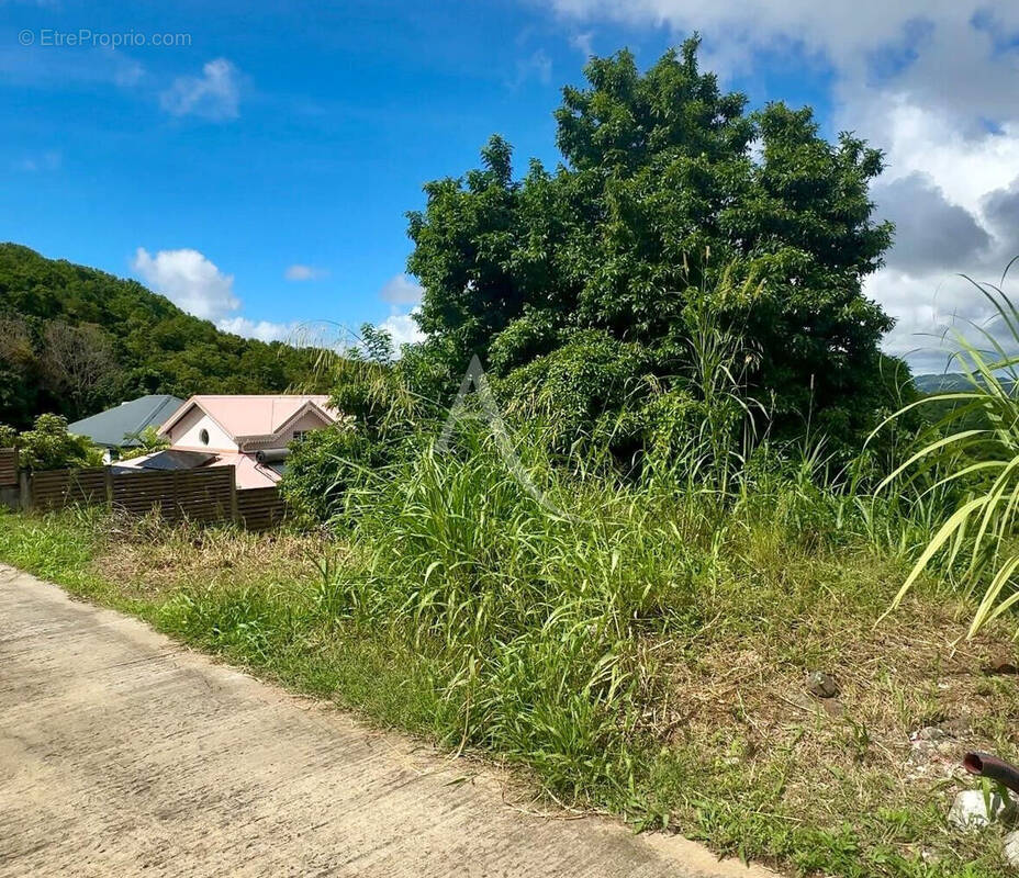 Terrain à RIVIERE-SALEE