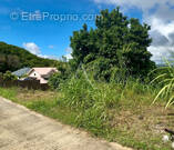 Terrain à RIVIERE-SALEE