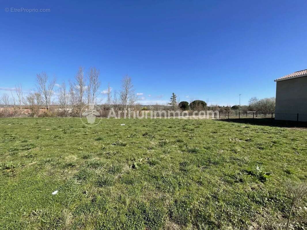 Vente Terrain Gragnague(31380) 146 000ï¿œ - photo 4