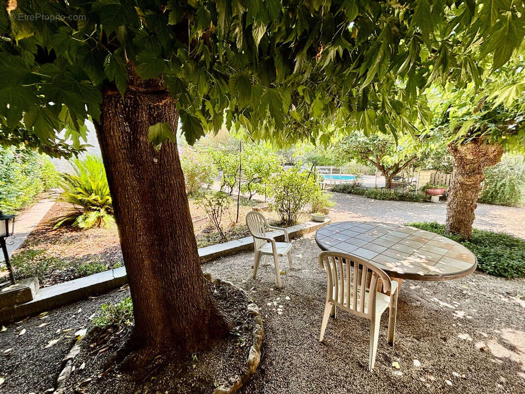 Sainte-cécile-les-vignes villa avec piscine - photo 25