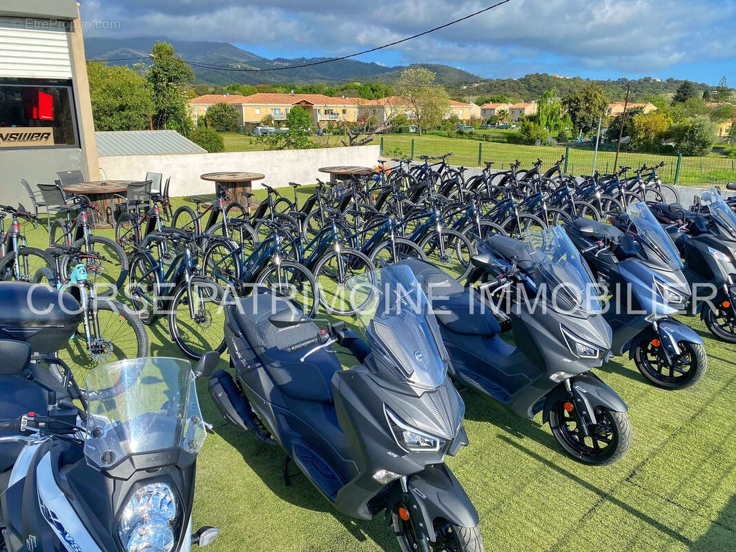 Commerce à SAN-NICOLAO