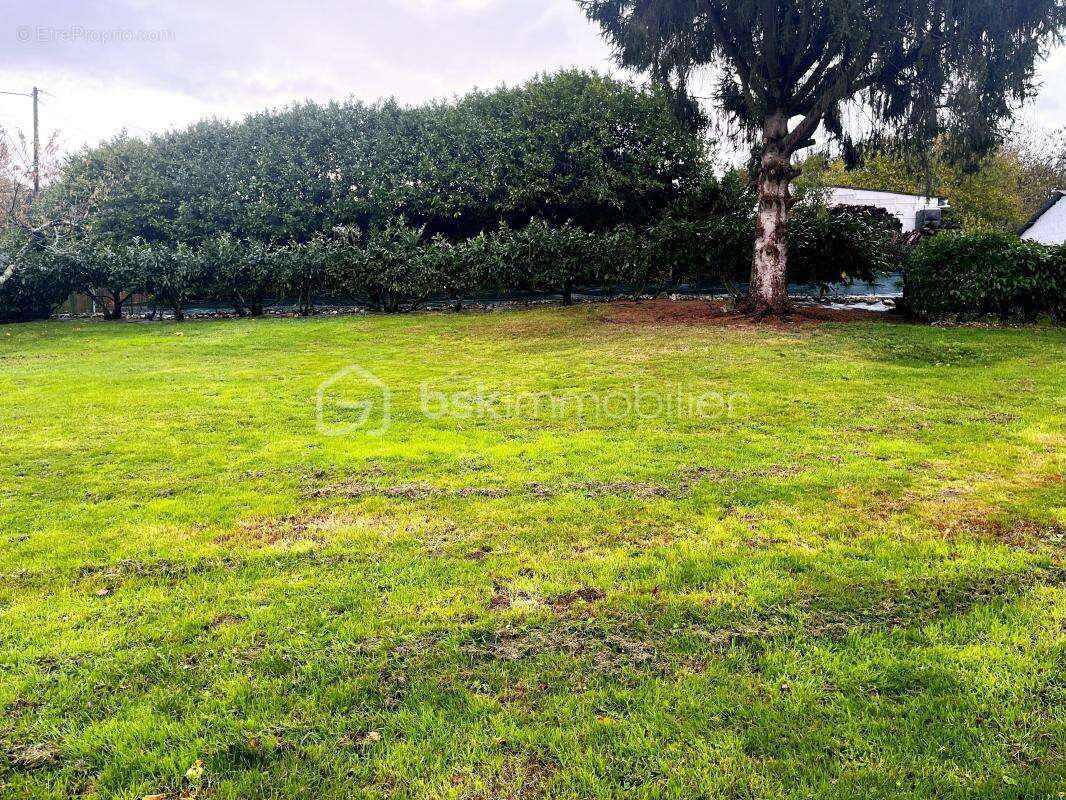 Terrain à LE BREUIL-EN-AUGE