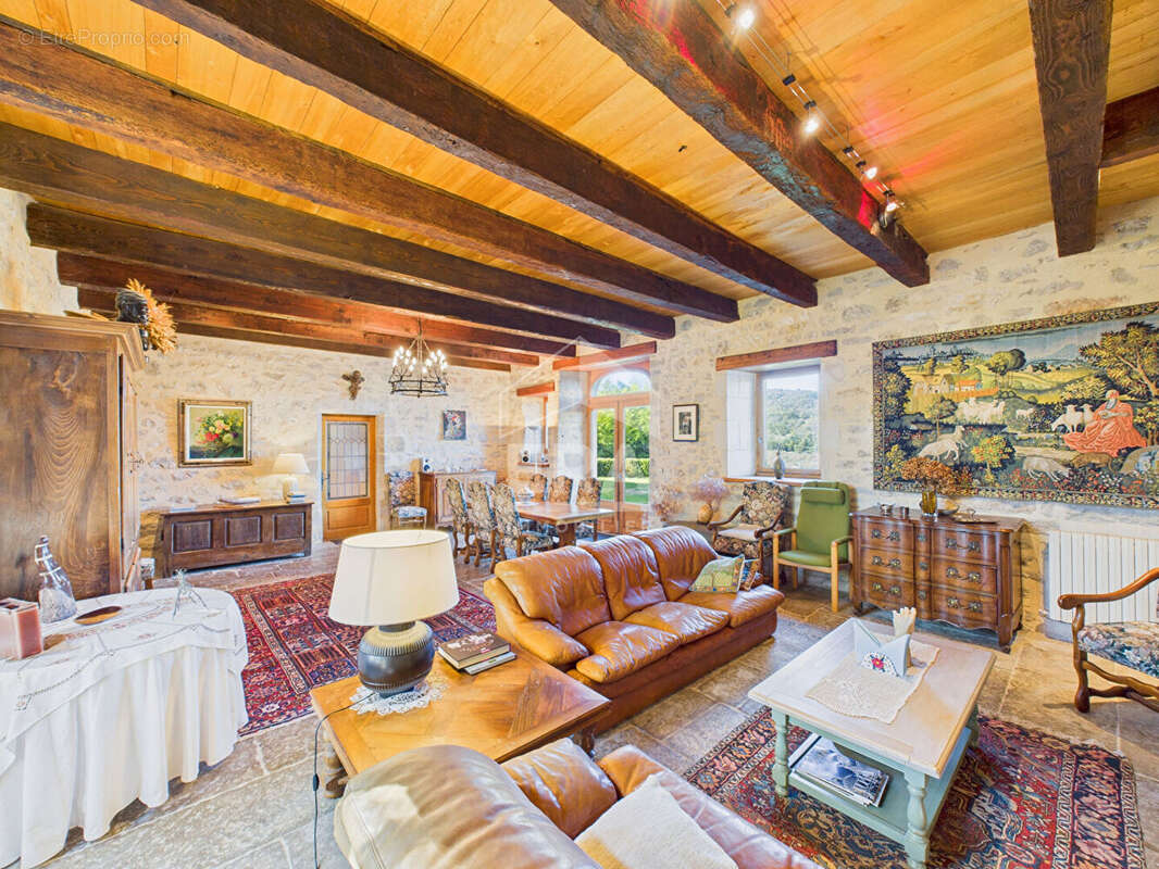 Demeure de Prestige 377m² à ambeyrac - photo 2