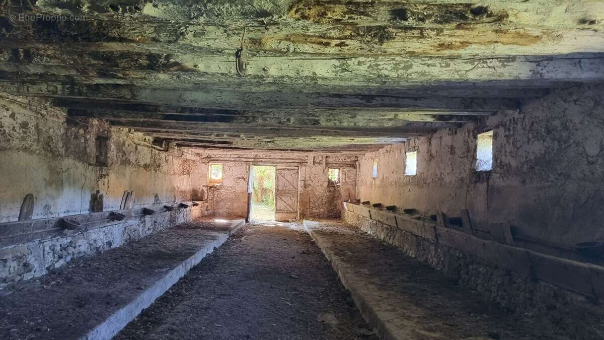 GRANGE - Terrain 1300m2 - avec Reseaux - photo 5