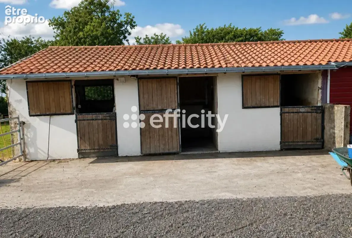 Maison 181 m² à Le Landreau  - photo 10