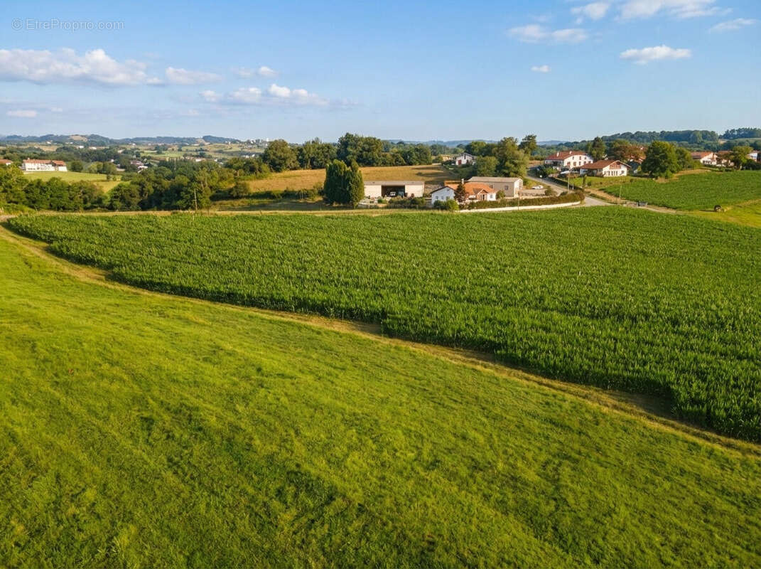 Photo 2 - Terrain à SAINT-PALAIS