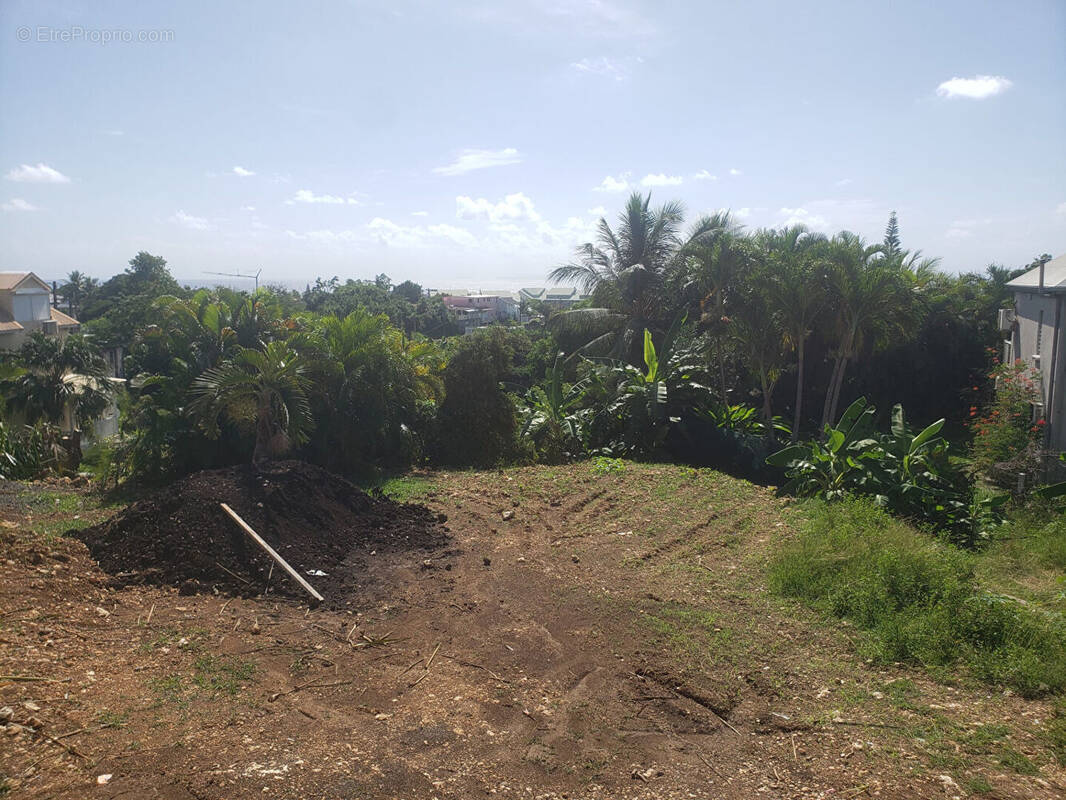 Terrain à LE GOSIER