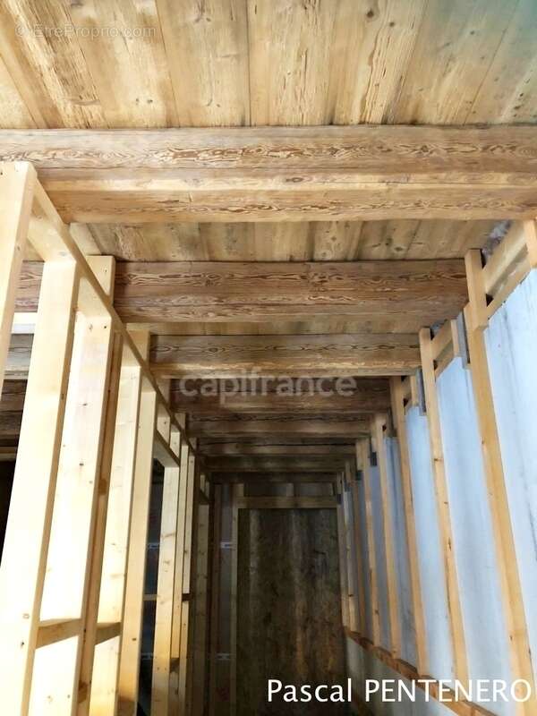 Terrain à LA CHAPELLE-D'ABONDANCE