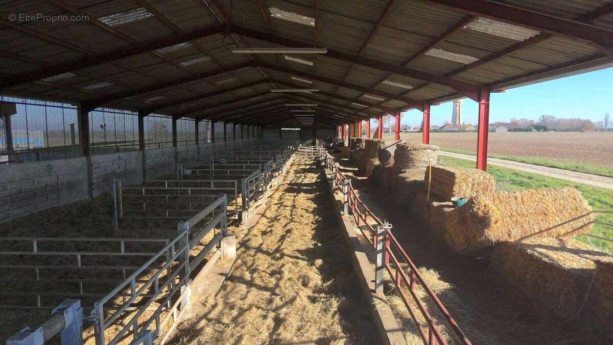 Commerce à SAINT-JEAN-DE-LOSNE