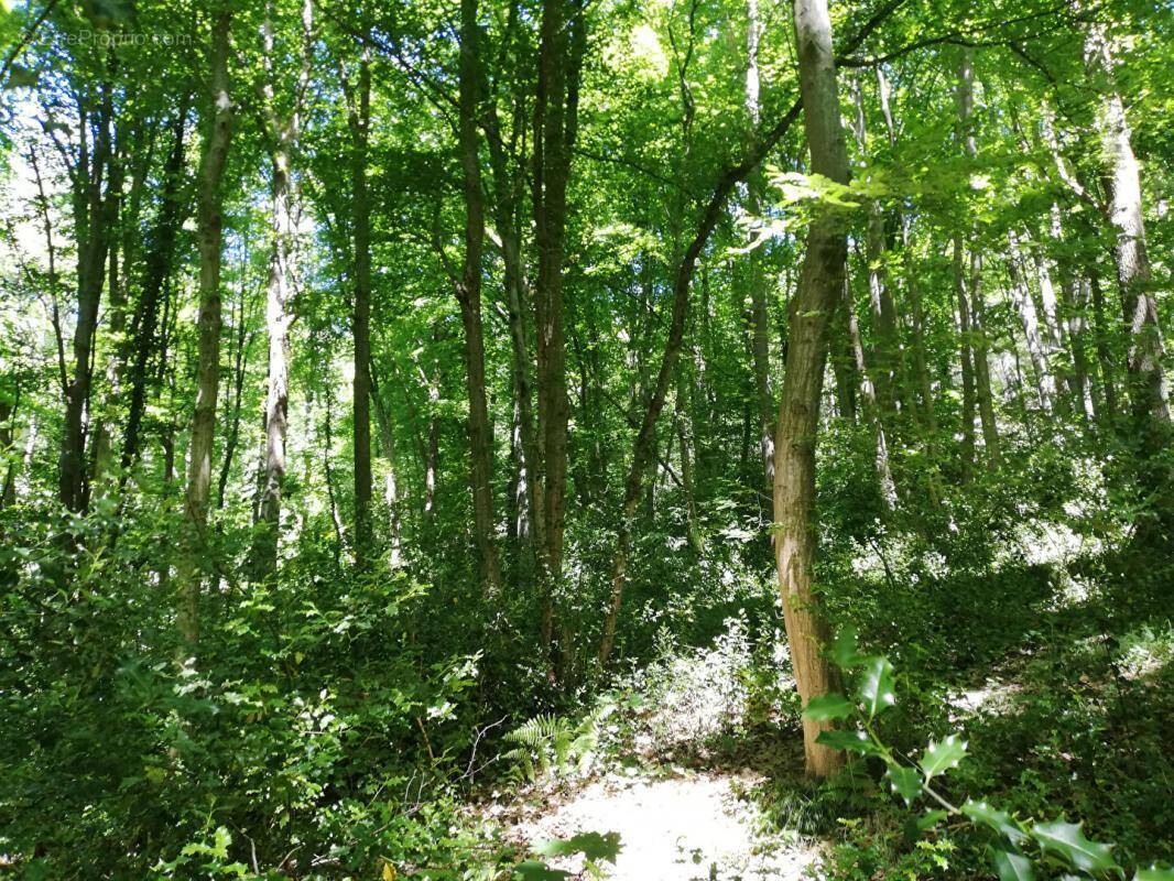 Terrain à DAMPIERRE-EN-YVELINES