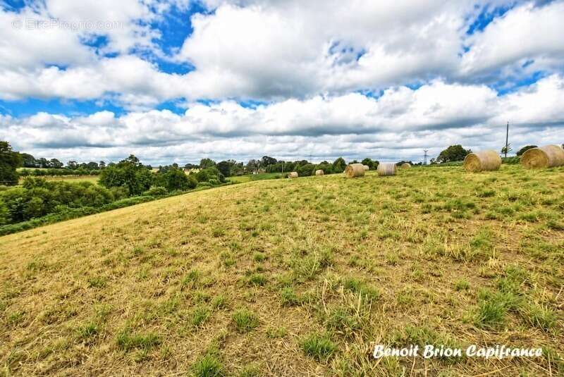 À vendre – Demeure historique en pierre d'environ 260 m² sur 2 hectares – Lapenty (50), à proximité de Saint-Hilaire-du-Harcouët - photo 23