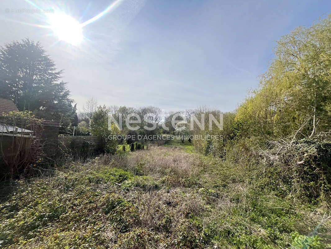 Maison La Drenne - Maison ancienne avec grand terrain. - photo 8