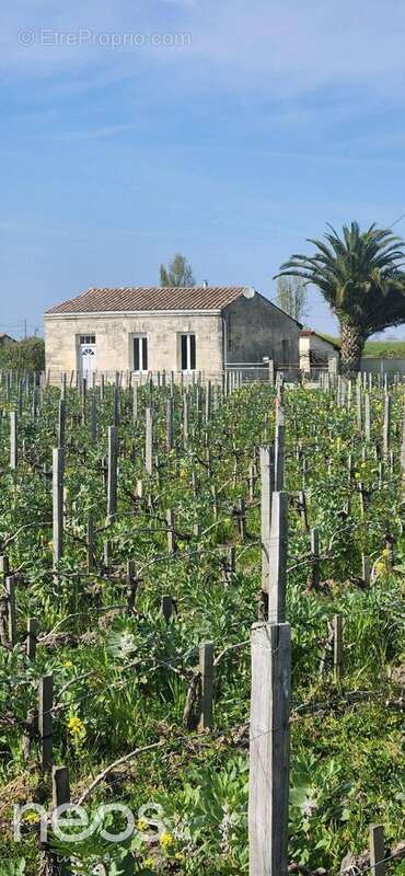 Maison à PAUILLAC