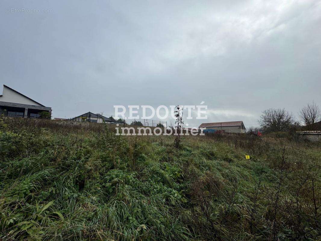 Terrain à MONCETZ-LONGEVAS