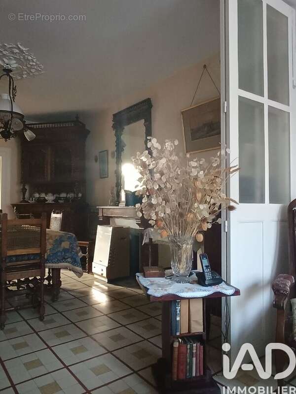 Photo 3 - Maison à CHATEAUNEUF-SUR-CHER