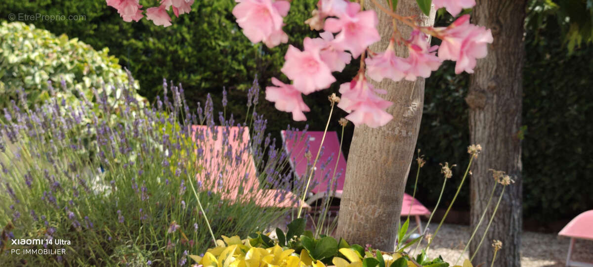 Maison à ROQUEBRUNE-SUR-ARGENS