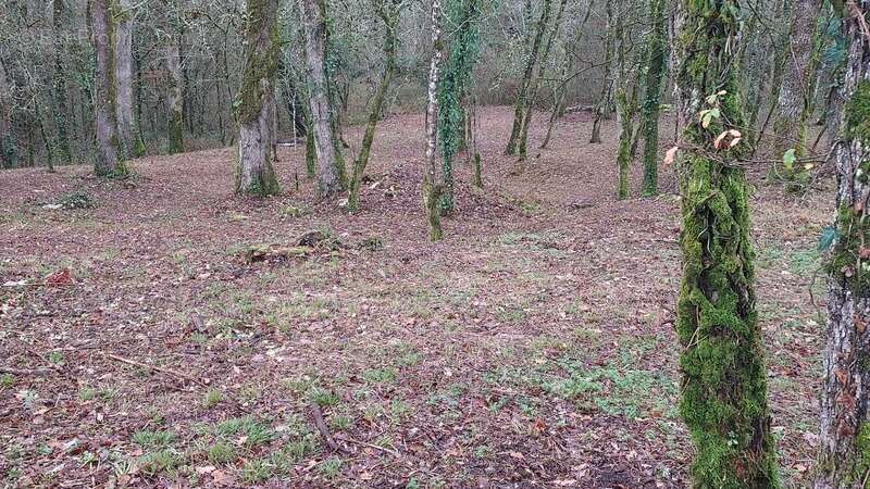 Terrain à vendre de 1 255,00 m² BALADOU (46) - photo 10