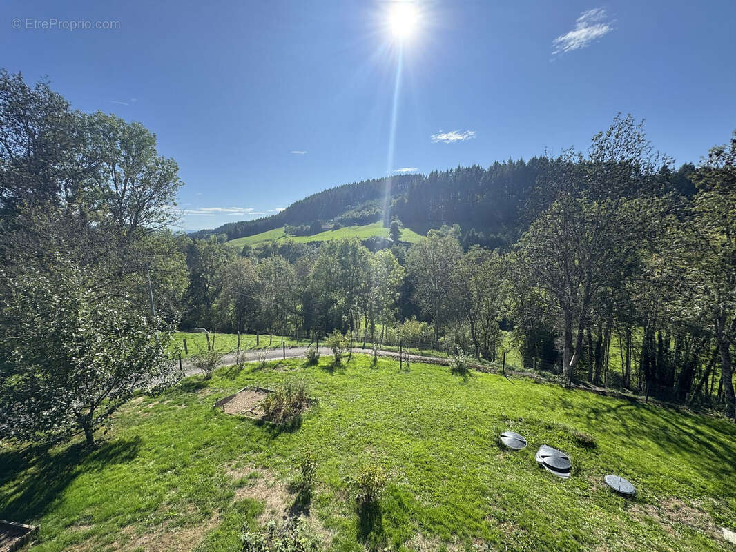 Photo 2 - Maison à CUBLIZE