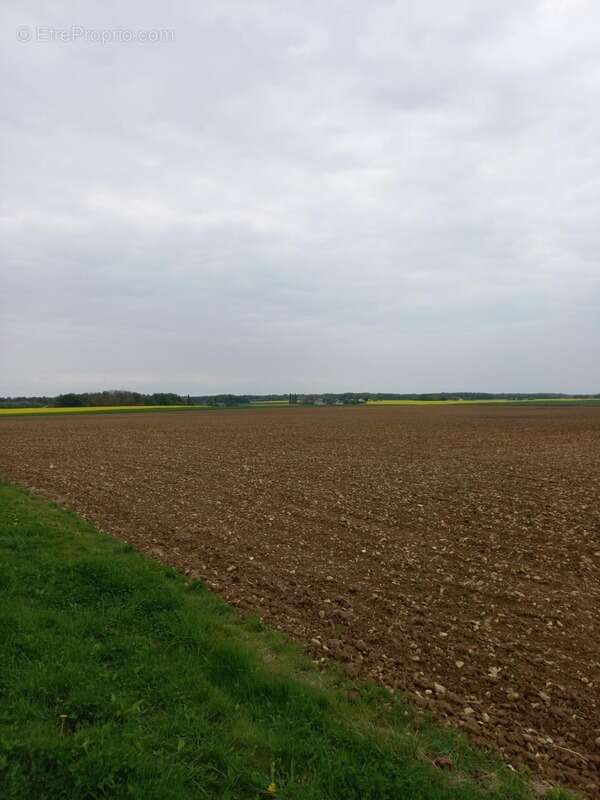 Terrain à COURTEMAUX