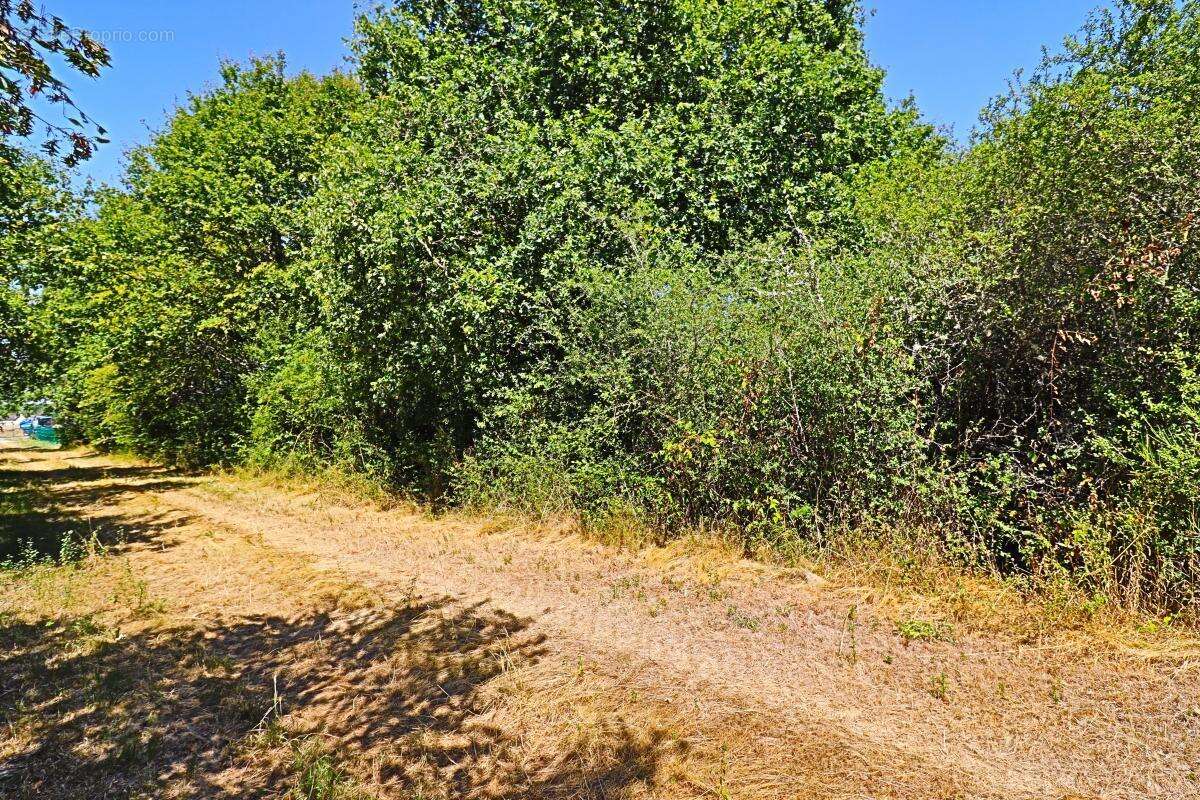 Terrain À Vendre - photo 12