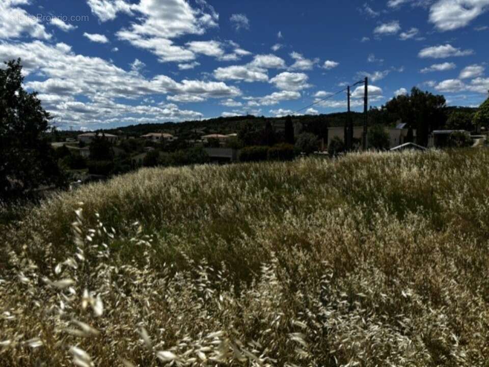 Terrain 668 m² à Saint-Sernin  - photo 2