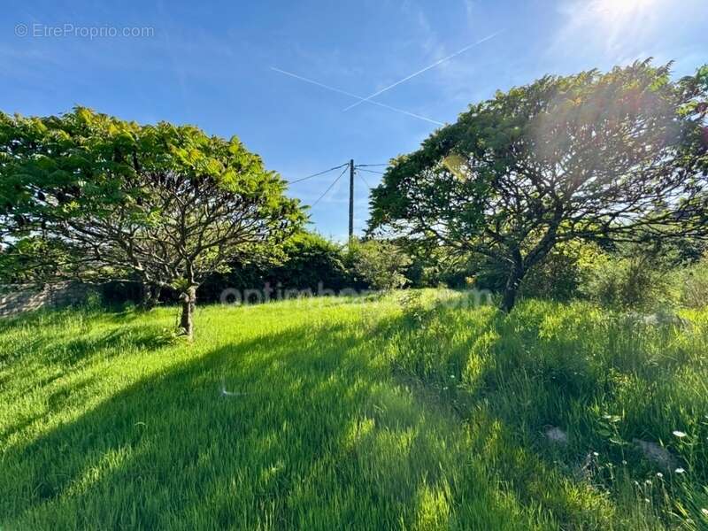 Maison à SAINT-SULPICE-LES-FEUILLES