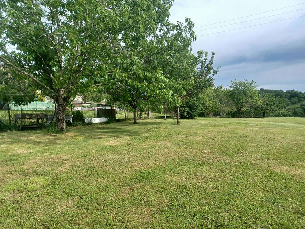 Terrain à SAINT-LYS