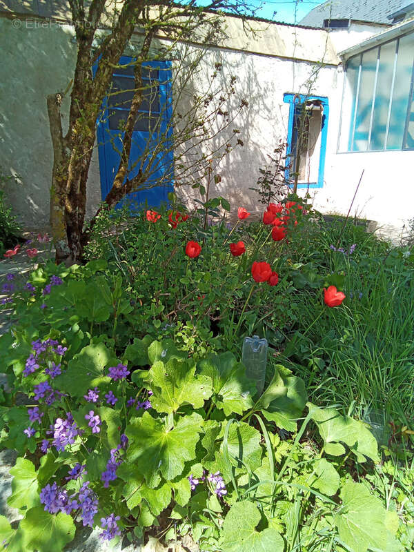 Maison à MARCHENOIR