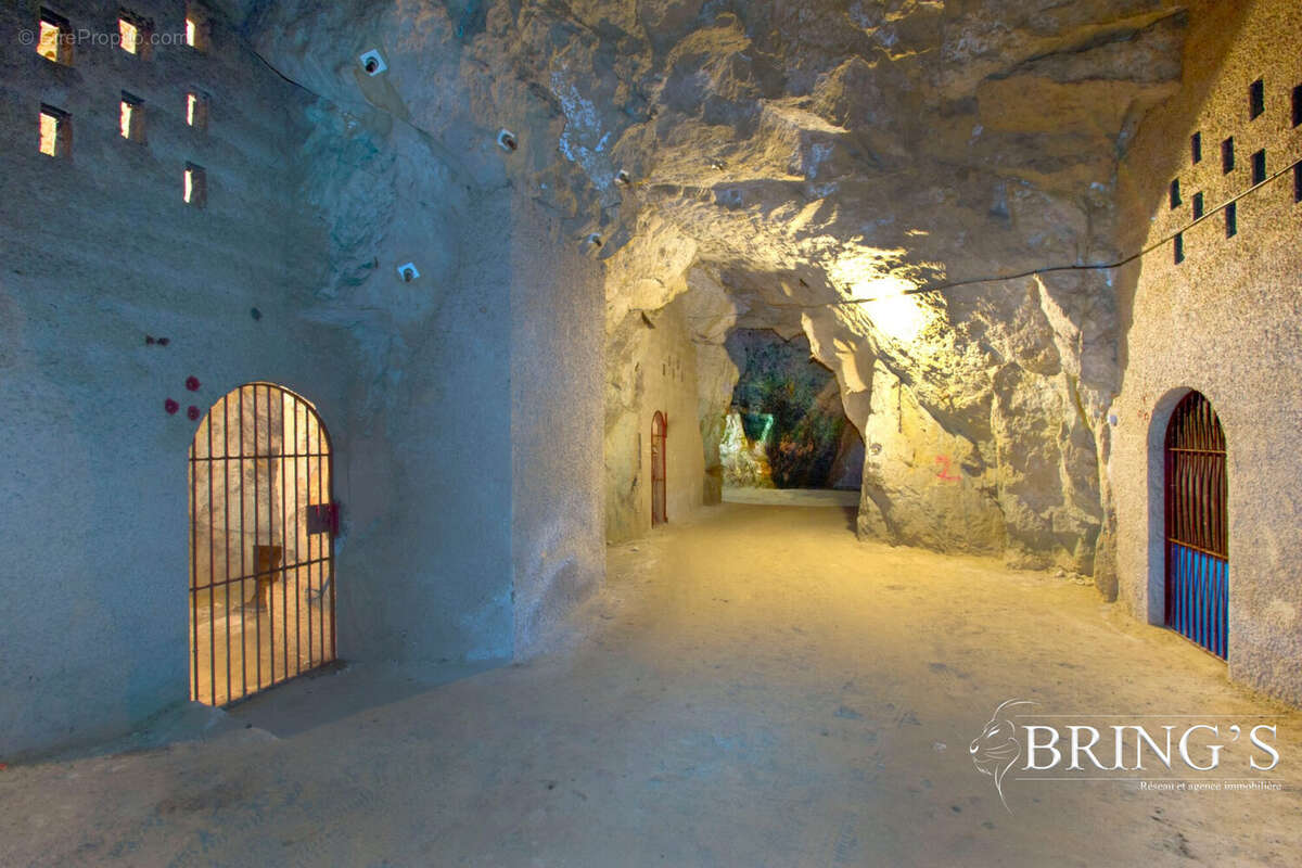 Maison à SAINT-NICOLAS-DE-BOURGUEIL