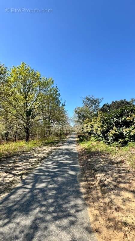 Maison à PARENTIS-EN-BORN