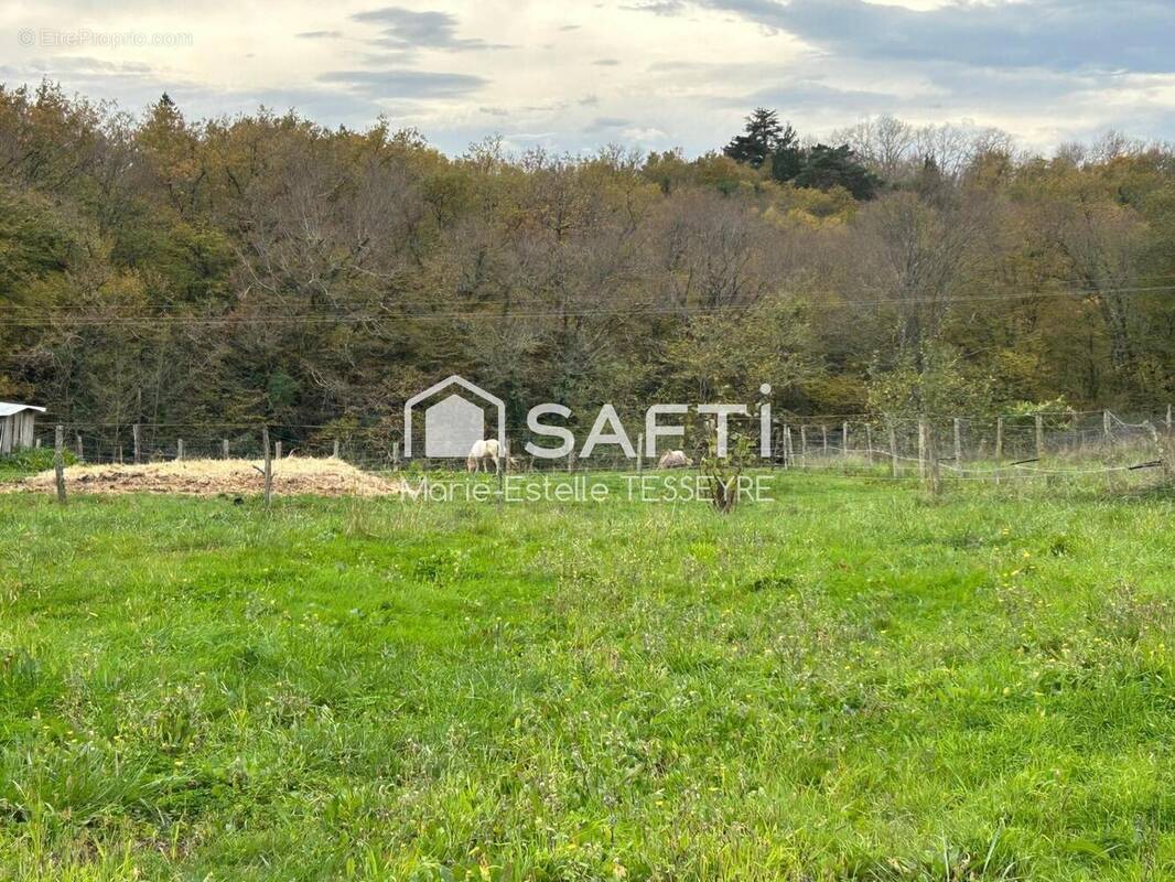 Photo 1 - Terrain à LOUPES